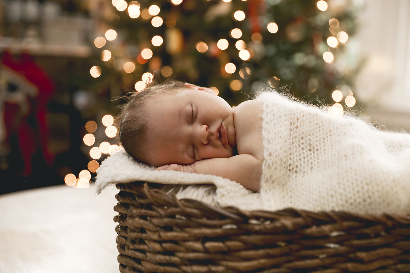 Newborn photo session with dog