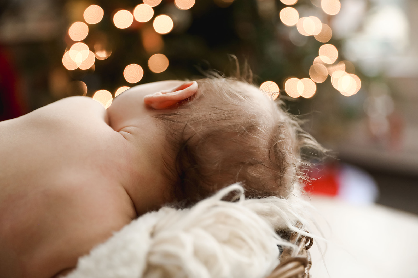 Newborn photo session with dog