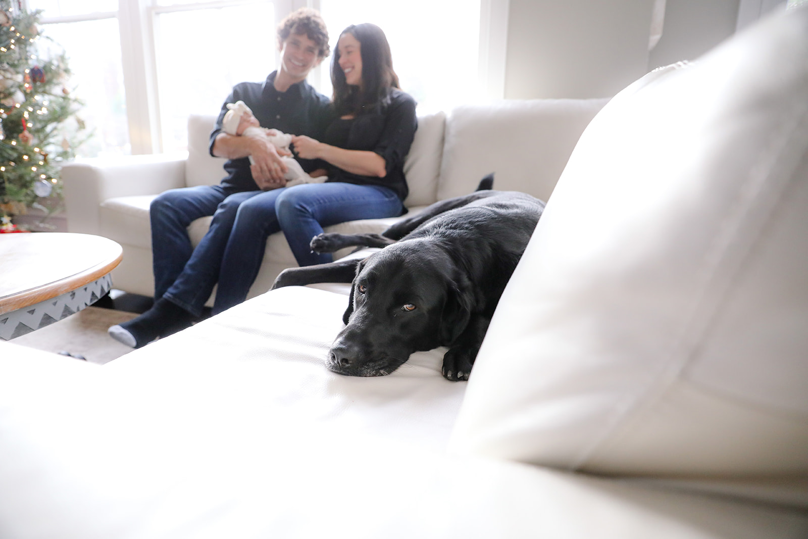 Newborn photo session with dog